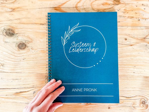 Werkboek Systeem & Leiderschap